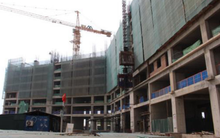 Xuân Mai Corp xuất hiện với bộ mặt hoàn toàn mới, trả cổ tức 10% bằng tiền mặt