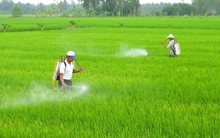 Nông Dược HAI "xin" UBCKNN hướng dẫn mở room ngoại lên 100% để đón nhà đầu tư chiến lược