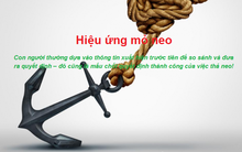 Chuyện tối thứ 4: Hiệu ứng mỏ neo và nghệ thuật thả "neo" trong đàm phán, kinh doanh