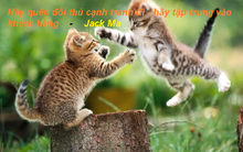 Chuyện cuối tuần: Đừng chiếm thị trường nếu bạn không giữ được nó