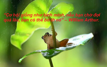 Chuyện tối thứ 4: Phải luộc con ếch như thế nào? Đơn giản thôi - nhưng rất thú vị!