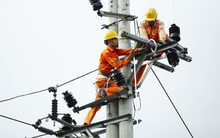 PCC1 đã chốt giá và danh sách nhà đầu tư phát hành riêng lẻ gần 18 triệu cổ phiếu