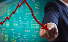 Giao dịch cổ phiếu BHS và NTC, 3 "người thân" của các lãnh đạo công ty cùng bị phạt