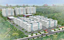 Lãi đột biến so với cùng kỳ, TDC vẫn còn cách rất xa mục tiêu lợi nhuận cả năm