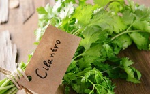 Nhà nghiên cứu Mỹ chỉ ra loại rau "đẩy" 80% kim loại nặng khỏi cơ thể: Việt Nam có nhiều