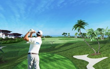 FLC giải trình về việc dự án FLC Hạ Long bị dừng thi công