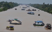 Sowatco bất ngờ đặt mục tiêu lãi gấp 7 lần năm 2016, tạm ứng trước cổ tức 2017 tỷ lệ 40% ngay trong quý 2 này