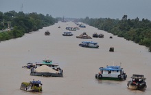 In Do Trần bất ngờ muốn thoái vốn tại Sowatco