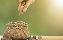 TKV thoái vốn tại CTCP Kim loại màu Nghệ Tĩnh