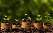 Tăng trần một mạch 8 phiên liên tiếp rồi "đổ đèo", chuyện gì đang xảy ra với KPF?