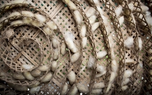 Ngoài khăn lụa KhaiSilk, Trung Quốc còn cung cấp những gì cho ngành dâu tằm tơ Việt Nam?