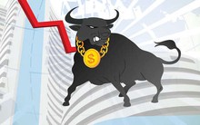 CHUYỆN ANH MUA: Anh Mua đi mua cổ phiếu theo bạn thân (phần 3)