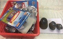 Sừng tê, ngà voi đua về Việt Nam bằng đường không