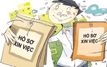 Công việc đầu tiên là "mối tình đầu" trong sự nghiệp, lỡ sai thì sửa, đừng đánh giá sinh viên chỉ bằng danh tiếng của ngôi trường!