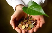 Chứng khoán Trí Việt (TVB): Lãi hơn 20 tỷ đồng năm 2016, quyết định chi cổ tức bằng tiền 5,6% cho cổ đông