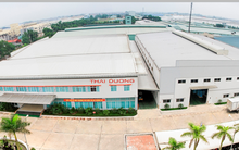 Ban lãnh đạo công ty Dầu khí Thái Dương đồng loạt đăng ký bán cổ phiếu khi giá cổ phiếu giảm sâu