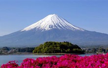 Vn-Index chạm 780 điểm, lời “phán” của các chuyên gia đã “ứng nghiệm”?