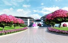 Hệ mầm non có mức học phí ngất ngưởng, vậy các bậc học cao hơn của TH School đứng ở đâu so với các trường quốc tế?