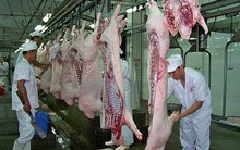 Nguồn cung thịt lợn toàn cầu dự báo tăng