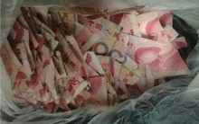 Ở nhà một mình, bé 5 tuổi xé tan nát... 7.000 USD