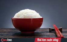 “Chẳng qua chỉ là một bát cơm” - mọi muộn phiền trong cuộc sống đều là do chúng ta không dám từ bỏ