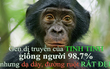 GS Nhật từng khiến thế giới kính nể chỉ ra "bữa ăn chuẩn" cho hàng triệu người