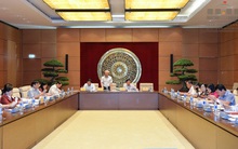 Tốc độ “rùa” của tinh giản biên chế