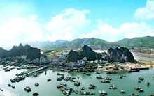 3 đặc khu sẽ có môi trường kinh doanh ‘đặc biệt thuận lợi’