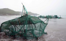 NHNN chỉ đạo các ngân hàng kịp thời hỗ trợ các tỉnh chịu thiệt hại do bão số 12