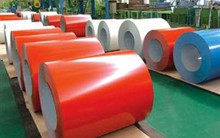 Tham vấn vụ thuế tự vệ tôn màu nhập khẩu