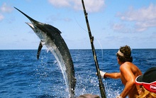 Còn cơ hội gom cổ phiếu giá rẻ trong quý III?