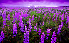 [Tiêu điểm tuần 25/09 - 29/09] Giới đầu tư đang chú ý tới điều gì?