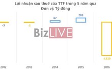 Gỗ Trường Thành âm vốn nặng, ngân hàng nào phải lo?