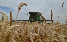 FAO: Giá lương, thực phẩm thế giới tăng cao nhất trong 2 năm