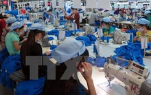 Ngành dệt may phấn đấu đạt mục tiêu hơn 30 tỷ USD năm 2017