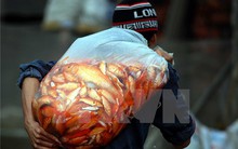 Vì sao lại có lễ cúng ông Công ông Táo vào 23 tháng Chạp?