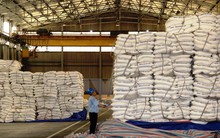 Tồn kho đường không phải do nhập các chất tạo ngọt thay thế