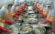 Ngành tôm Việt Nam chưa được định vị trên thị trường thế giới
