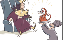 Chuyện nhà vua và con khỉ: Bài học "chết vì trao nhầm quyền cho kẻ dốt"