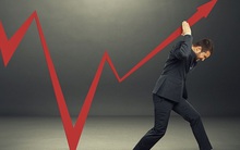 Chứng khoán Rồng Việt: VnIndex đã tăng lên mức cao nhất trong nhiều năm nhưng vẫn còn hấp dẫn