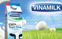 SCIC công bố giá khởi điểm chào bán cổ phần Vinamilk lần 2 là 150.000 đồng