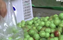 Hoa quả Trung Quốc đội lốt hàng Việt được tiêu thụ thế nào?