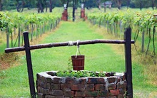 Nguyên tắc đào giếng: Điều ai cũng cần nhớ dù muốn là bác sỹ giỏi, doanh nhân thành công hay nhà văn thiên tài