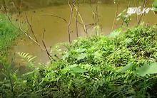 Vạch trần thủ đoạn xả thải bất chấp lệnh cấm của doanh nghiệp Hàn Quốc tại Phú Thọ