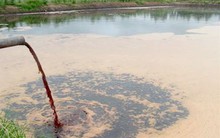 Từ 1/2/2017 tổ chức vi phạm môi trường bị phạt 2 tỷ đồng