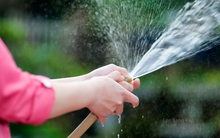 Không phải SSI, chứng khoán Bản Việt mới là quán quân “bơm tiền” cho thị trường nửa đầu năm