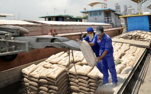 Tiêu thụ 1,8 triệu tấn xi măng nửa đầu tháng 2.2017