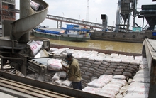 Xi măng: Tiêu thụ nội địa giảm, xuất khẩu tăng trở lại