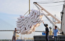 Sáu hệ lụy từ sự vô lý của nhiều điều kiện kinh doanh