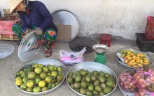 Xoài tí hon Trung Quốc tràn vào Việt Nam